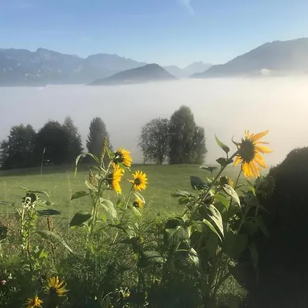 Ennstal Classic Landhaus Chalet *