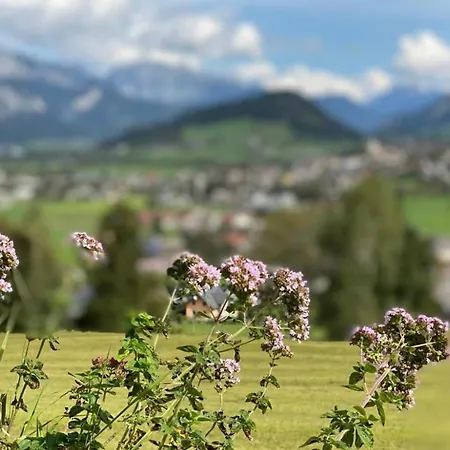 Apartment Ennstal Classic Landhaus Chalet